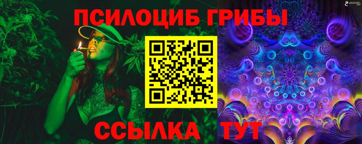 Псилоцибиновые грибы Psilocybine cubensis Губкин